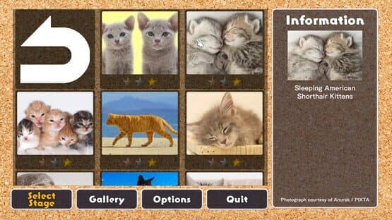 Jigsaw Masterpieces: Cute Lovely Cats — screenshot 1
