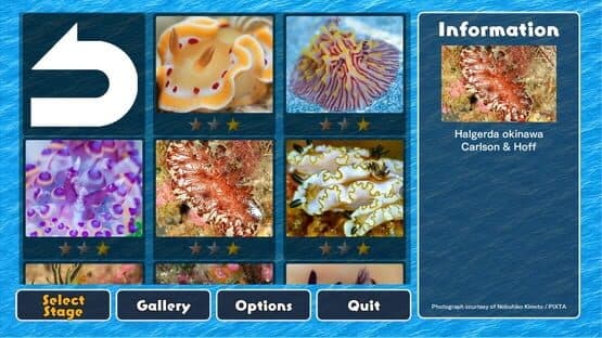 Jigsaw Masterpieces: Sea Slugs - Gems of the Sea — screenshot 1