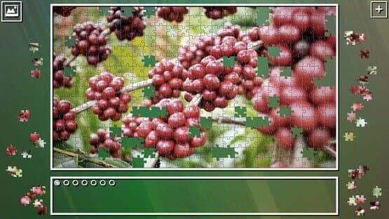 Super Jigsaw Puzzle: Generations - Fruits Puzzles — screenshot 3