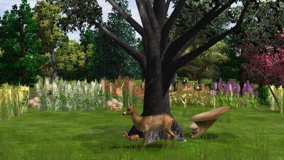 Wildlife Park 2: Kitz (fawn) — screenshot 1