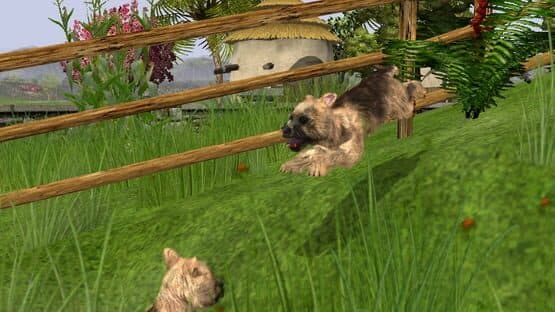 Wildlife Park 2: Domestic Animals — screenshot 2