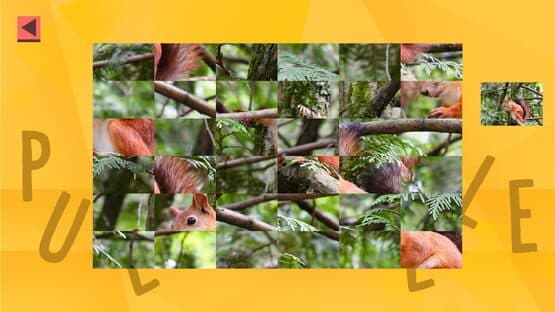 Game of Puzzles: Animals — screenshot 3