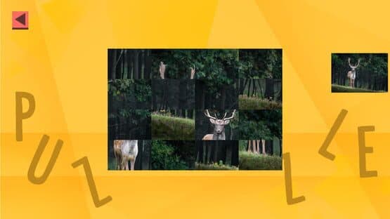 Game of Puzzles: Animals - Expansion Pack — screenshot 3