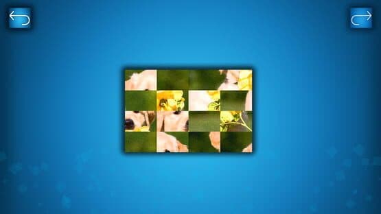 Puzzle: Cats & Dogs - Puzzle Pack: Summer Dogs — screenshot 1