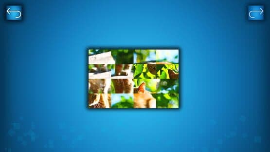 Puzzle: Cats & Dogs - Puzzle Pack: Summer Cats — screenshot 1