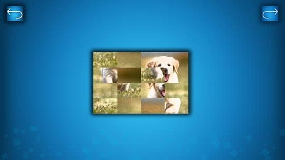Puzzle: Cats & Dogs - Puzzle Pack: Summer Dogs — screenshot 2