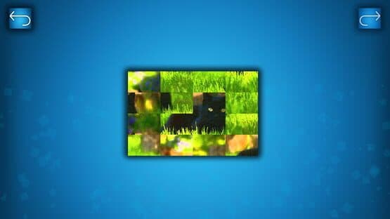 Puzzle: Cats & Dogs - Puzzle Pack: Summer Cats — screenshot 2