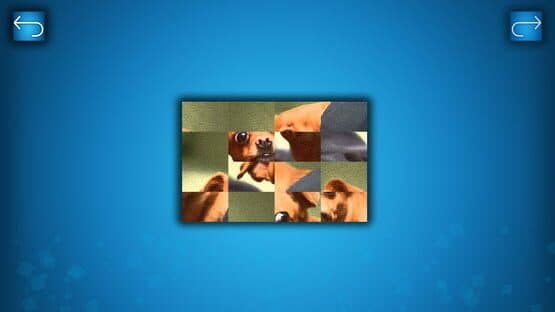 Puzzle: Cats & Dogs - Puzzle Pack: Summer Dogs — screenshot 3