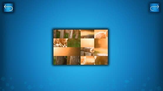 Puzzle: Cats & Dogs - Puzzle Pack: Summer Cats — screenshot 3