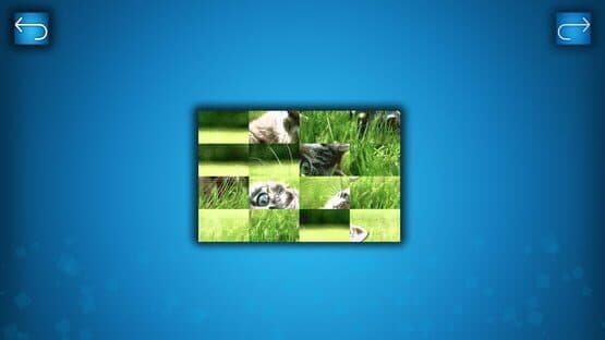 Puzzle: Cats & Dogs - Puzzle Pack: Summer Cats — screenshot 4