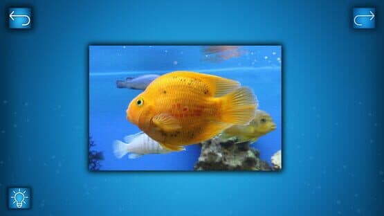 Puzzle: Ocean - Puzzle Pack: Fish Pack — screenshot 1