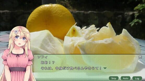 Shikoku Kororozashi Deluxe: Sake Jidori Udon Senki — screenshot 7
