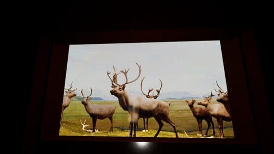 Beyond the Diorama: Caribou World — screenshot 1