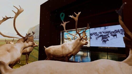 Beyond the Diorama: Caribou World — screenshot 2