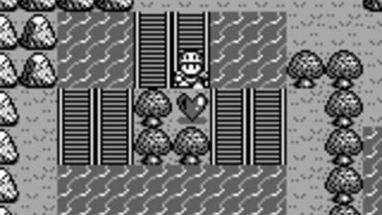 Rolan's Curse — screenshot 2