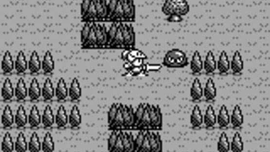Rolan's Curse — screenshot 3