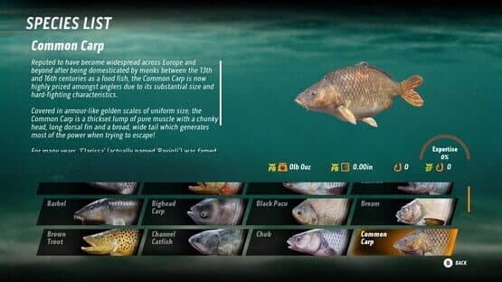 The Catch: Carp & Coarse - Collector's Edition — screenshot 1
