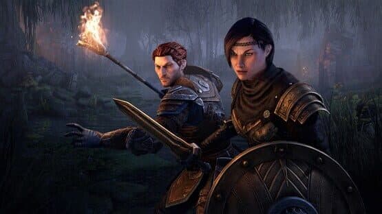 The Elder Scrolls Online: Blackwood Collection — screenshot 3