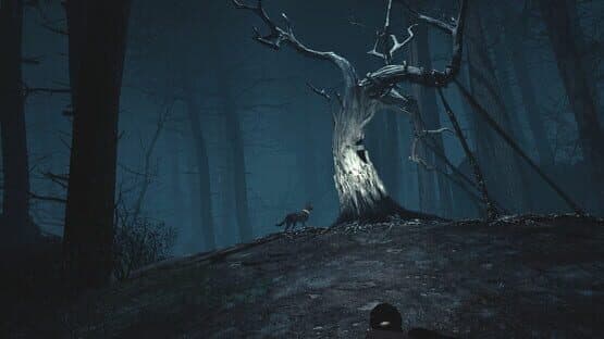 Blair Witch VR — screenshot 4