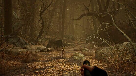 Blair Witch VR — screenshot 5