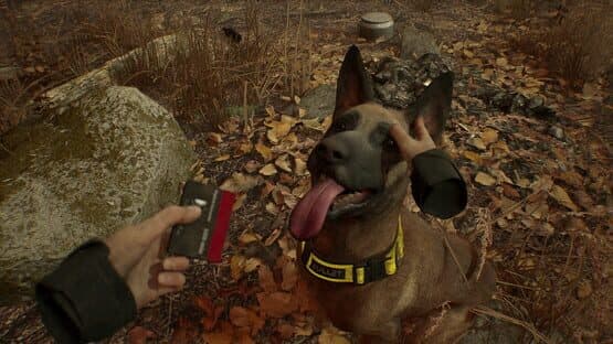 Blair Witch VR — screenshot 8