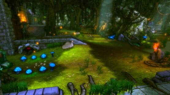 Dungeon Defenders: Quest for the Lost Eternia Shards Part 1 — screenshot 1