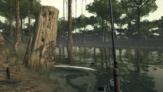 Ultimate Fishing Simulator: Amazon River DLC — screenshot 5