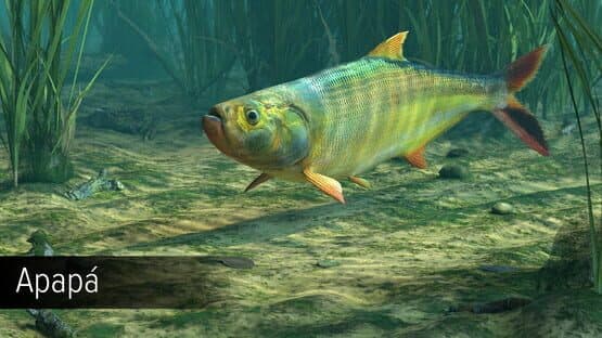 Ultimate Fishing Simulator: Amazon River DLC — screenshot 7