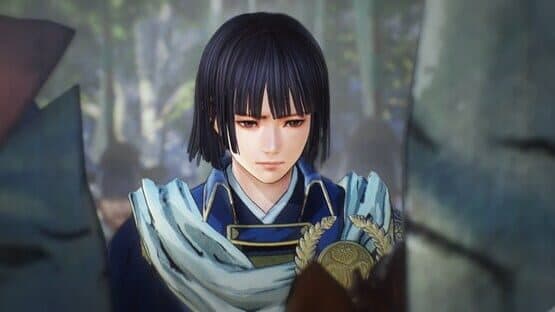 Samurai Warriors 5: Digital Deluxe Edition — screenshot 5