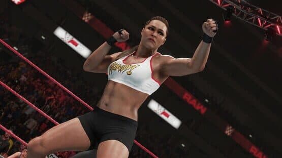 WWE 2K19: Digital Deluxe Edition — screenshot 1