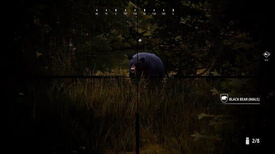 Hunting Simulator 2: Bear Hunter Edition — screenshot 4