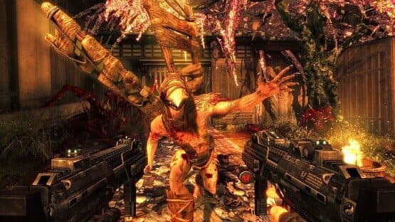 Shadow Warrior Collection — screenshot 1