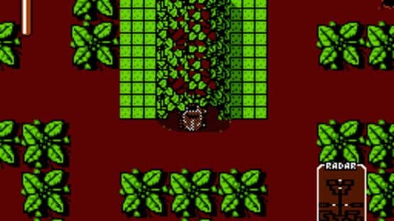 Stunt Buggies — screenshot 4