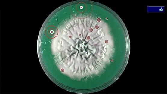 Coronavirus: Nano Force — screenshot 6