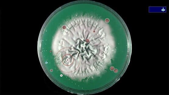 Coronavirus: Nano Force — screenshot 7