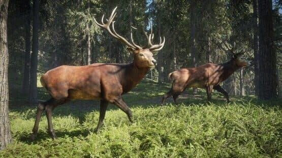 TheHunter: Call of the Wild - 2019 Edition — screenshot 4