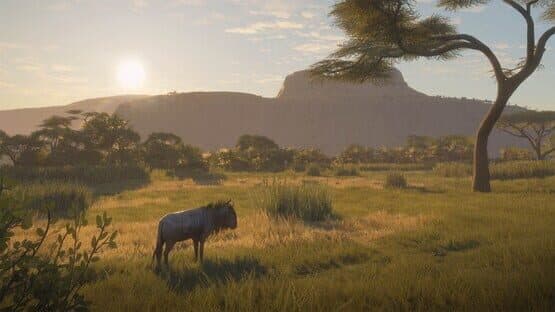 TheHunter: Call of the Wild - 2019 Edition — screenshot 5