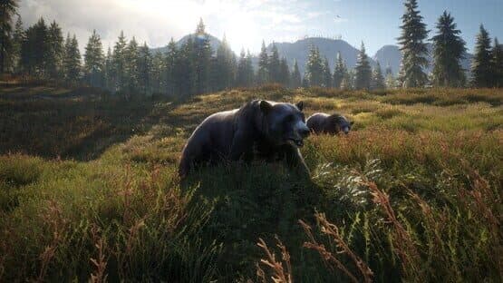 TheHunter: Call of the Wild - 2019 Edition — screenshot 6