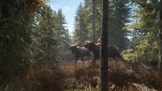 TheHunter: Call of the Wild - 2019 Edition — screenshot 8