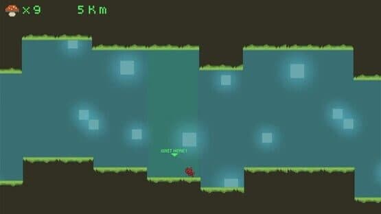 Crevice Survival — screenshot 1
