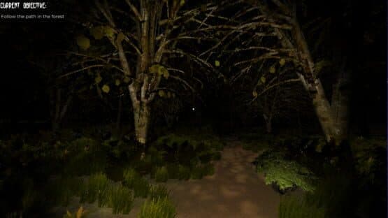 The Skinwalkers — screenshot 1