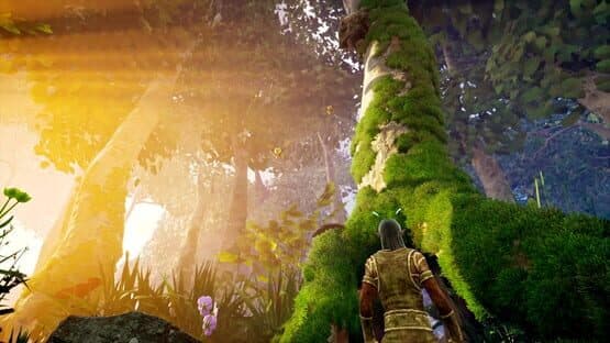 Smalland: Survive the Wilds — screenshot 5