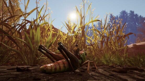 Smalland: Survive the Wilds — screenshot 8