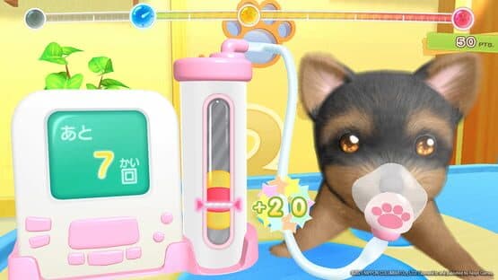 Pups & Purrs Animal Hospital — screenshot 1