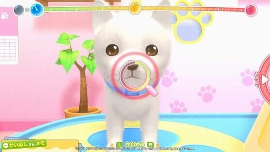 Pups & Purrs Animal Hospital — screenshot 6