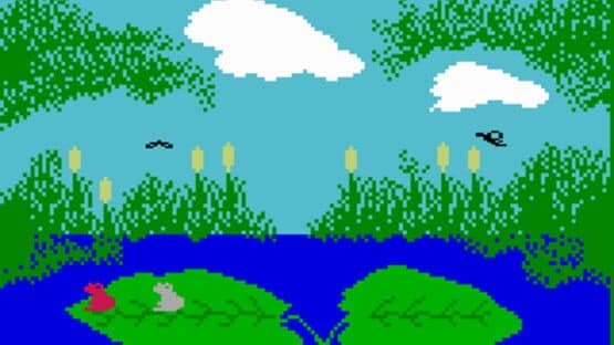 Frog Bog — screenshot 2