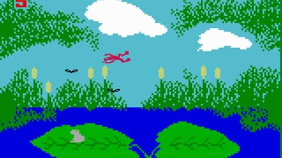 Frog Bog — screenshot 3