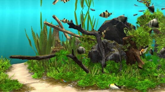 Behind Glass: Aquarium Simulator — screenshot 1