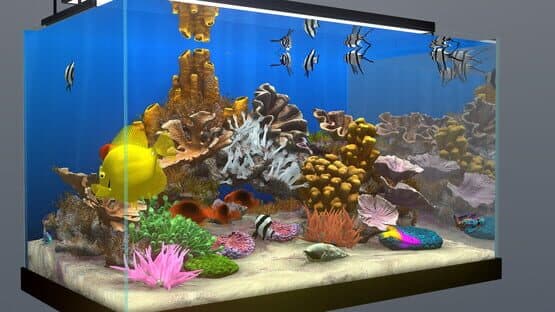Behind Glass: Aquarium Simulator — screenshot 3