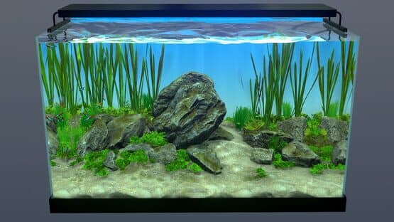 Behind Glass: Aquarium Simulator — screenshot 4